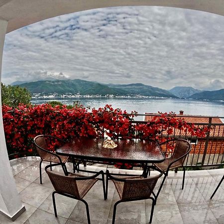 Apartments Obradovic Krasići Zewnętrze zdjęcie