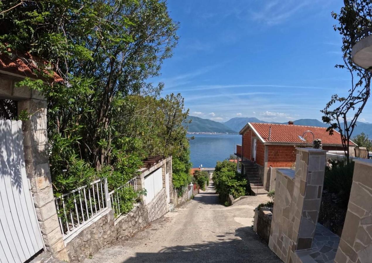 Apartments Obradovic Krasići Zewnętrze zdjęcie